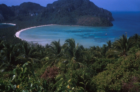 Koh Phi Phi Island 2